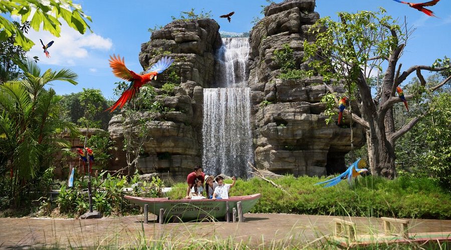 Bird Paradise aviary with colourful birds in Singapore