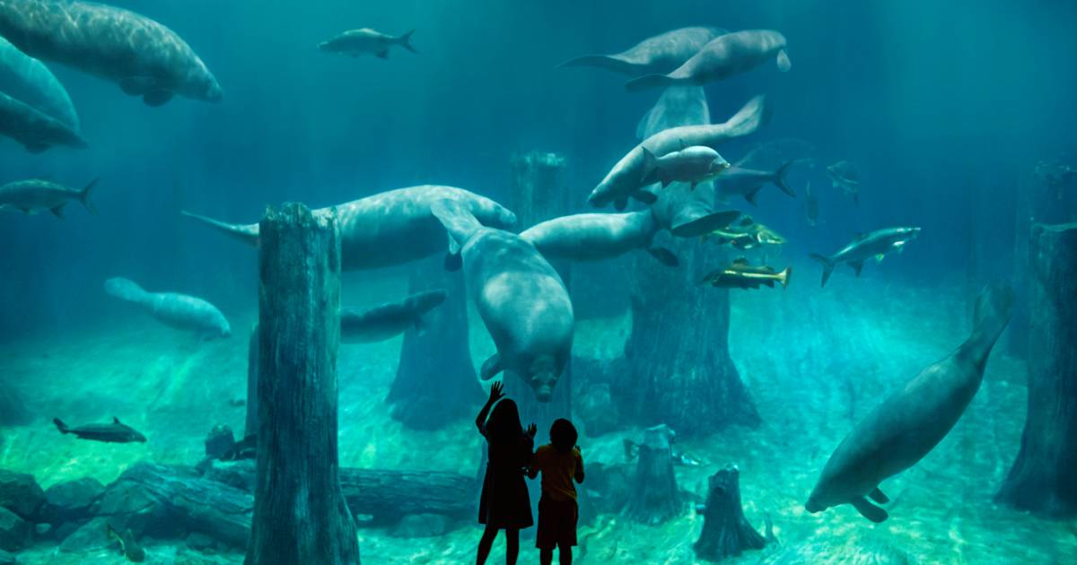 River Wonders river-themed wildlife park in Singapore