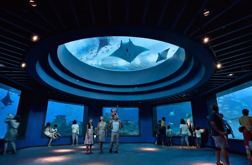 Visiting Singapore Zoo, Night Safari, River Wonder and Singapore Oceanarium on a Budget